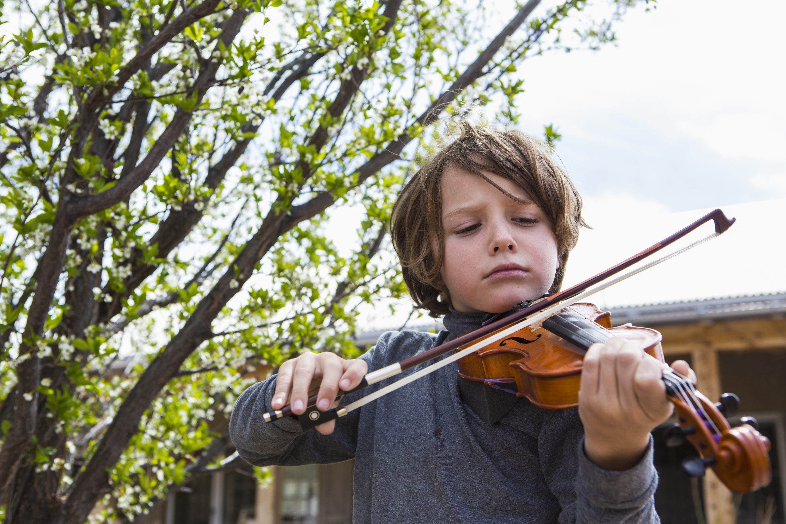 Boy Playing Violin